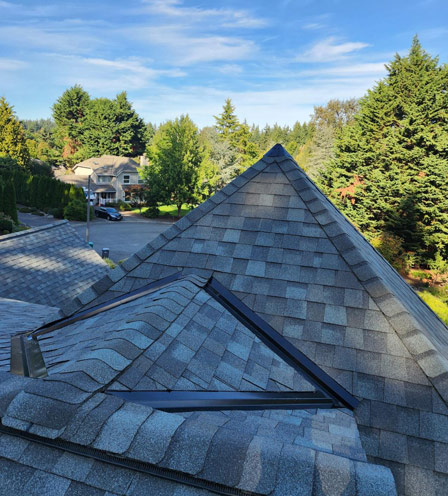 roofing contractor